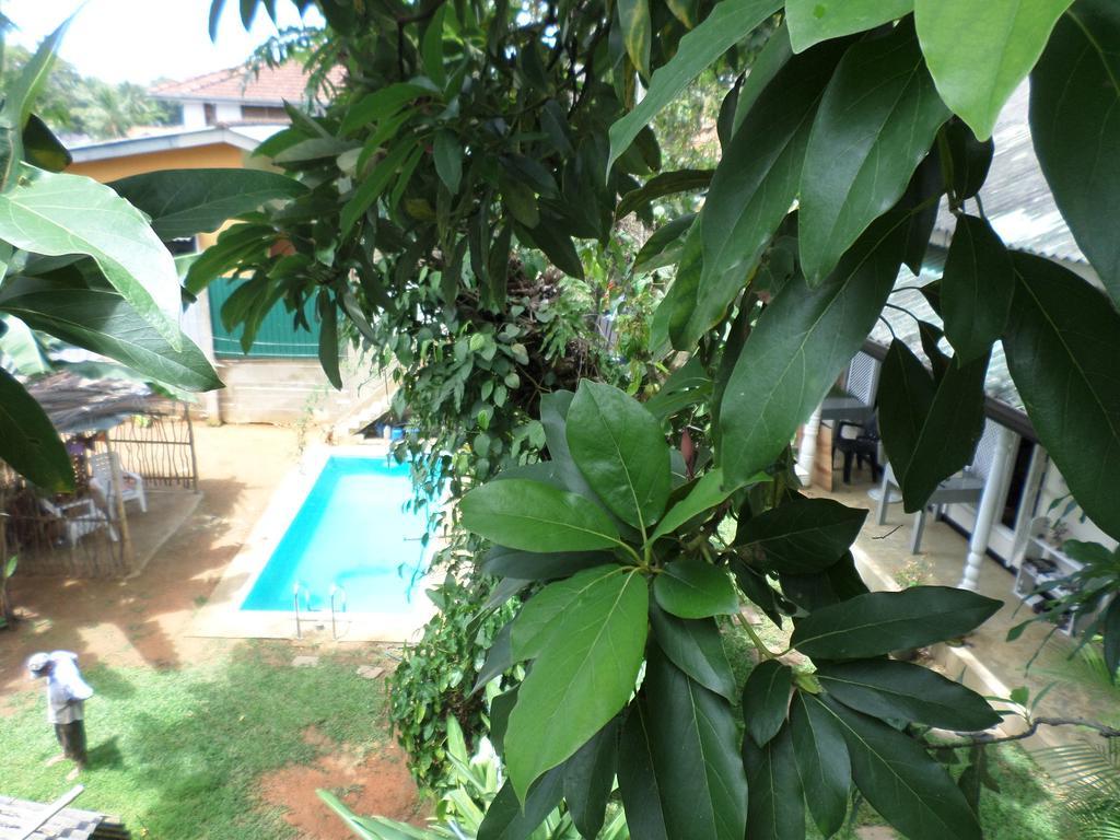 Anne'S Maisonnette كالي المظهر الخارجي الصورة